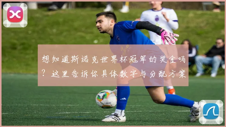 想知道斯诺克世界杯冠军的奖金吗?这里告诉你具体数字与分配方案