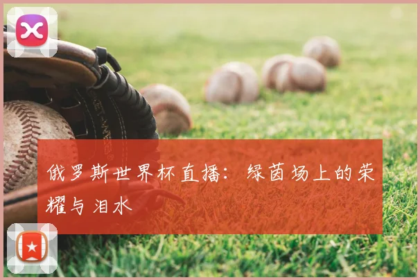 俄罗斯世界杯直播:绿茵场上的荣耀与泪水