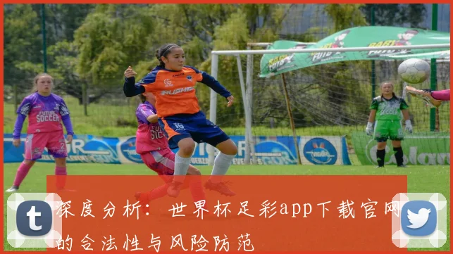深度分析：世界杯足彩app下载官网的合法性与风险防范