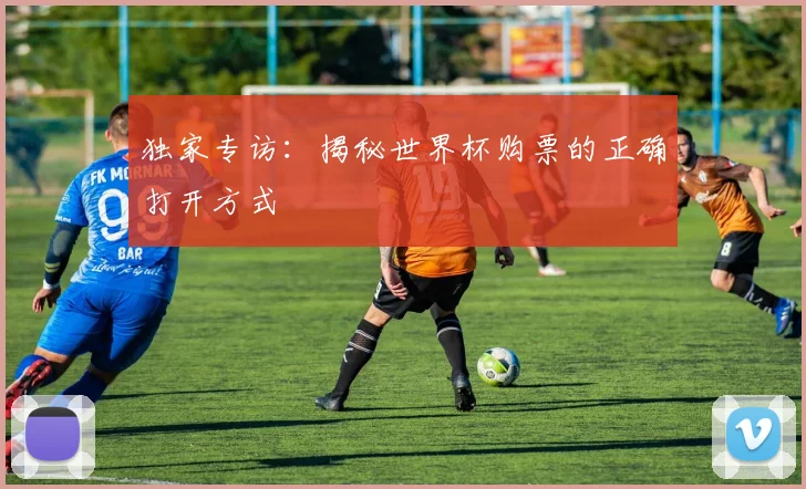 独家专访:揭秘世界杯购票的正确打开方式